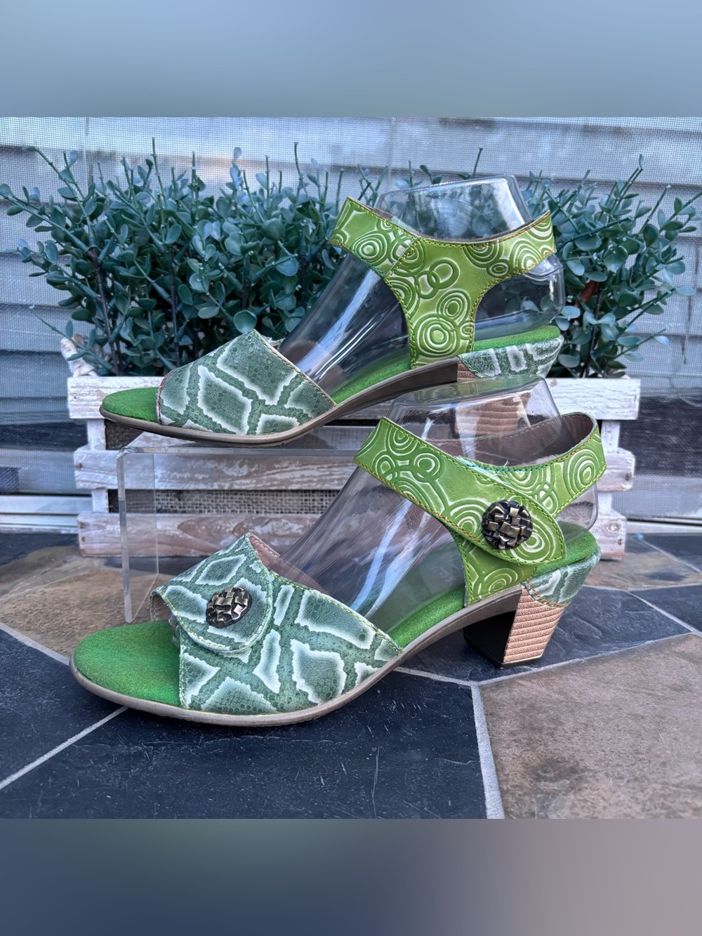 L'Artiste by Spring Step Wildcat sandals